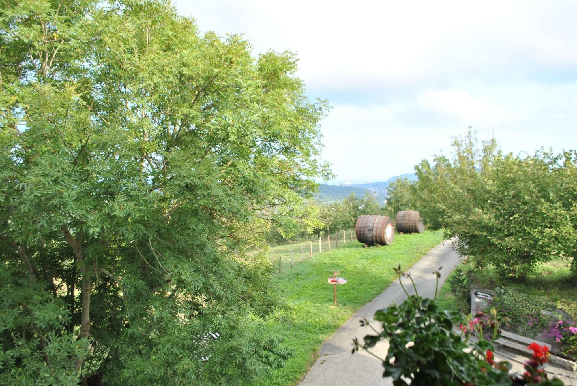 Agroturismo Artola Astigarraga Zimmer foto